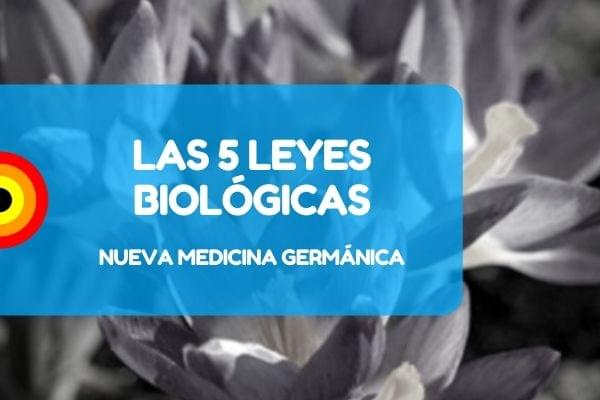 Nueva medicina NMG 5 leyes biologicas