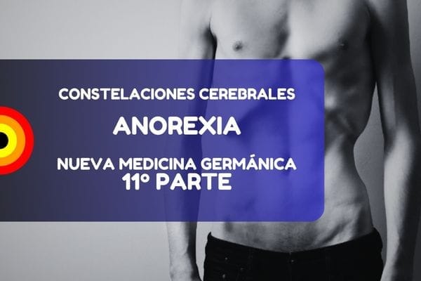 Anorexia Nueva Medicina Nmg Constelaciones