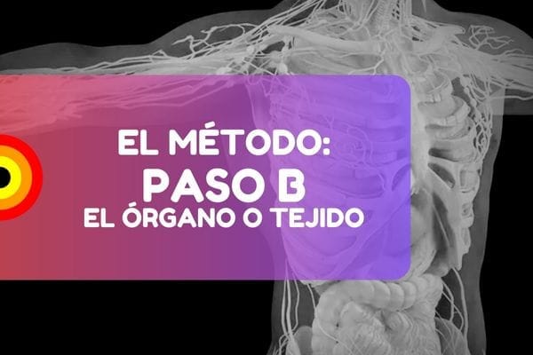 Nueva Medicina Nmg (4)