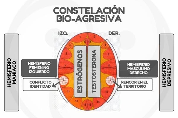 Nueva Medicina Nmg Bio Agresiva