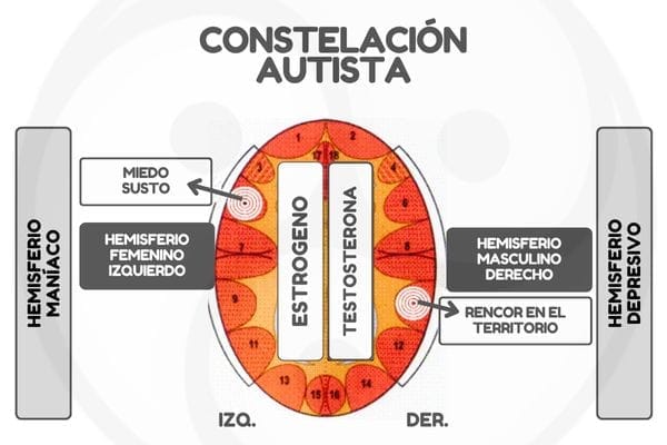 Constelaion Autista Nueva Medicina Nmg